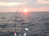 sun_rise_charter_leland